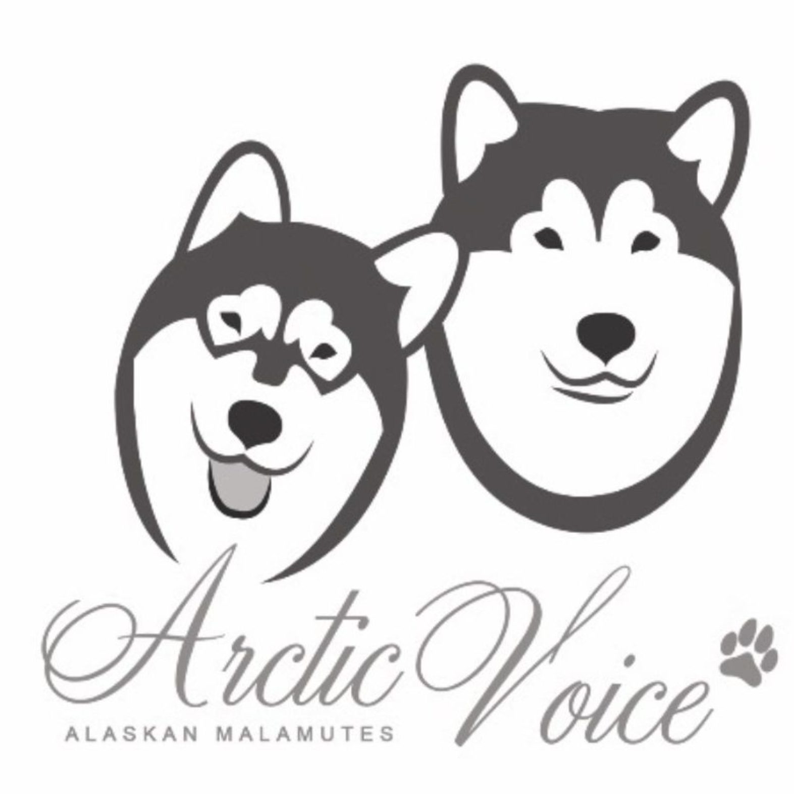 ArcticVoice Alaskan Malamutes